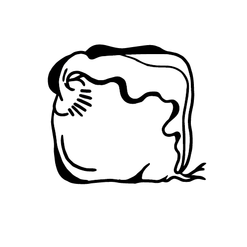 Logo Red Radish variant 2